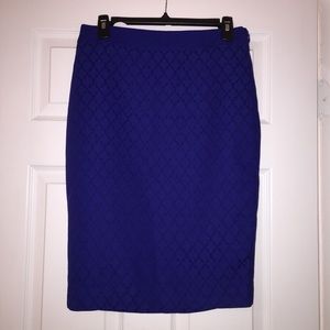 NWT Blue skirt - size 6 Tall